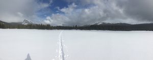 Lone ski tracks in Tuolumne Meadows on March 22, 2020. Photo by Laura and Rob Pilewski.
